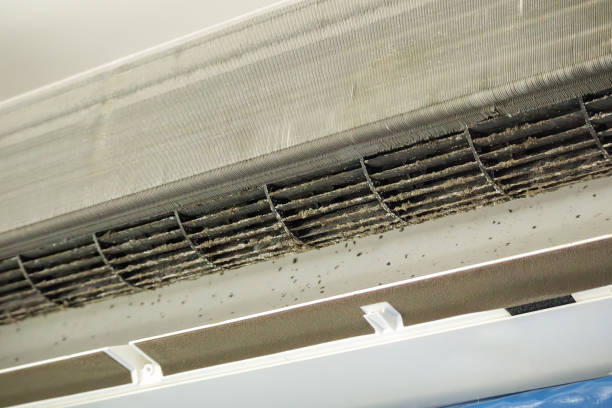 Best Duct Repair and Sealing Services in Lemoore, CA